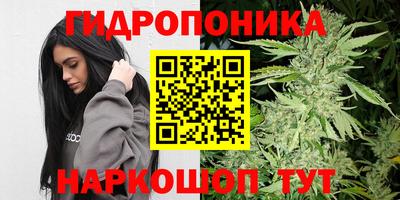 гидропоника Татарск