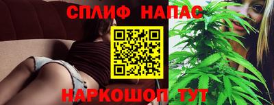 трава Тара