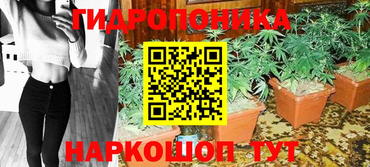 Минеральные Воды  Канабис марихуана  Вход с VPN  Конопля SATIVA & INDICA 